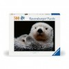 Ravensburger Puzzle-12000235-Puzzle Mignon Petite loutre-500 pièces, 12000235