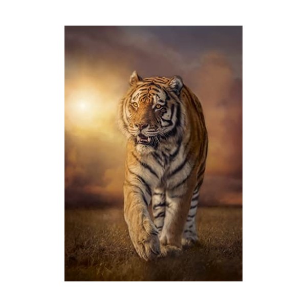 Clementoni Collection Tiger-1000 Pièces-Puzzle, Divertissement pour Adultes-Fabriqué en Italie, 39773