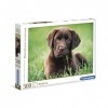 Clementoni- Puzzle Chocolate Puppy 500pzs Does Not Apply Dog, 35072, Multicolore, One Size