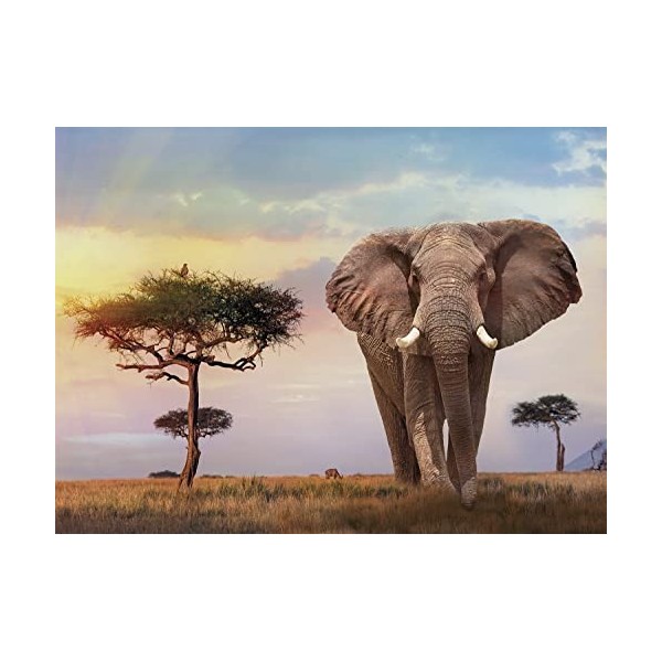 Clementoni- African Sunset-500 pièces-Puzzle Adulte-fabriqué en Italie, 35096