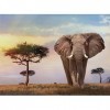 Clementoni- African Sunset-500 pièces-Puzzle Adulte-fabriqué en Italie, 35096