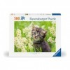 Ravensburger 12000367-Chatons dans la Prairie-Puzzle de 500 pièces pour Adultes et Enfants à partir de 12 Ans, 12000367