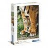 Clementoni - 35046 - WWF Puzzle - Bengal Tiger Cub between Its mother - 500 Pièces