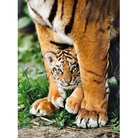 Clementoni - 35046 - WWF Puzzle - Bengal Tiger Cub between Its mother - 500&nbsp;Pièces