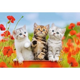 Ravensburger - Puzzle Enfant - Puzzles 2x12 p - La découverte des chats - Dès 3 ans - 07626