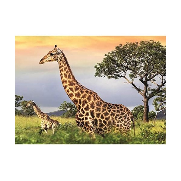 dino Puzzle 1000 pièces : Famille Girafe