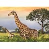 dino Puzzle 1000 pièces : Famille Girafe