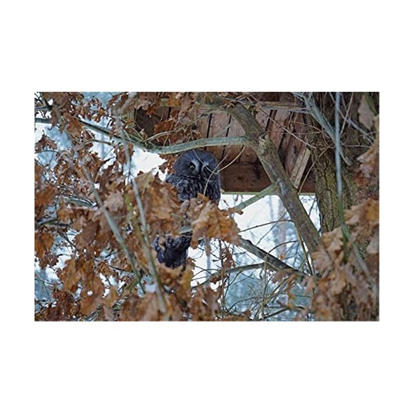 Puzzle, 120 pièces, Panda - Difficile, Parfait pour samuser en Famille - Activité dintérieur Amusante - 25x20cm 9.84x7.87in