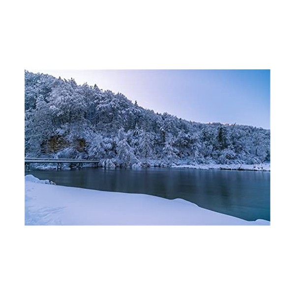 120 Pièces Puzzles pour Adultes Puzzles Difficiles Puzzles Difficiles Branches Gelées Puzzle Bricolage Divertissement Jouets 