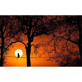 120 Pièces Puzzles pour Adultes, Coucher de Soleil Rouge Puzzles Colorés pour Enfants et Adolescents de 12 Ans et Plus, Art d