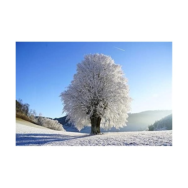 120 Pièces Puzzles pour Adultes, Coucher de Soleil Rouge Puzzles Colorés pour Enfants et Adolescents de 12 Ans et Plus, Art d