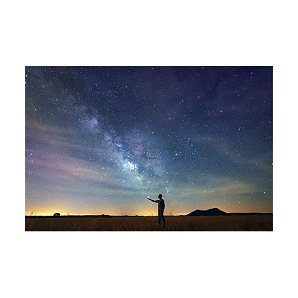 120 Pièces Puzzles pour Adolescents et Adultes Belle Prairie Puzzle en Bois, Meilleur Cadeau pour Adultes et Enfants-25x20cm 