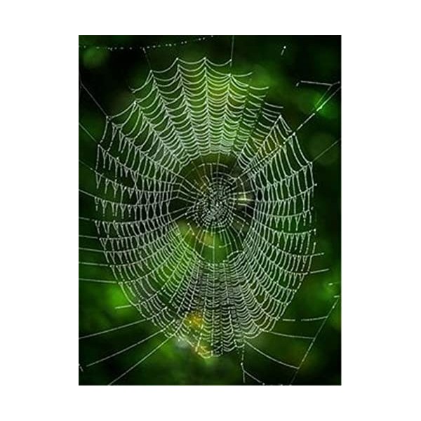 120 Pièces Puzzle Éducatif Puzzle Jeu De Famille Écureuil Cadeau pour Adultes Et Enfants-25x20cm 9.84x7.87inch 