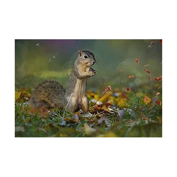 120 Pièces Puzzle Éducatif Puzzle Jeu De Famille Écureuil Cadeau pour Adultes Et Enfants-25x20cm 9.84x7.87inch 