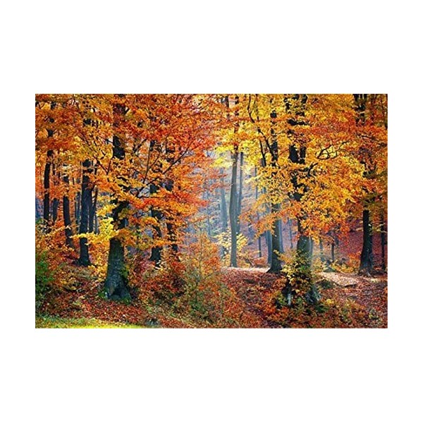 120 Pièces Puzzle Éducatif Puzzle Jeu De Famille Source Chaude en Plein Air Cadeau pour Adultes Et Enfants-25x20cm 9.84x7.87i