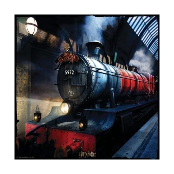 Grandi Giochi Harry Potter Train Puzzle lenticulaire Horizontal avec 500 pièces incluses et Emballage avec Effet 3D-PU103000,