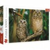 Trefl, Puzzle, Hibou, 1000 éléments, Hibou, Hibou, Hibou, Branche dun Arbre, végétation de la forêt, Paysage de la forêt, Pu