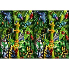 Ravensburger-05174 Amphibians Puzzle et Casse-tête, 05174, Multicolore, único