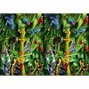 Ravensburger-05174 Amphibians Puzzle et Casse-tête, 05174, Multicolore, único