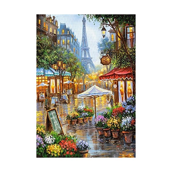 Castorland C-103669 - Puzzle Fleurs de Printemps, Paris, 1000 pièces