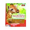 Bioviva - 300032 - Trio Puzzle - Disneynature