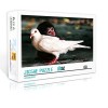 Mini Puzzle Adulte 1000 pièces Oiseau Set Puzzle Jigsaw DIY Jouet de Divertissement à Domicile Puzzle en Carton 38x26cm Puz