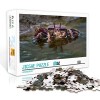 Mini Puzzle Adulte 1000 pièces Paysage Naturel Set Puzzle Unzip Jeu éducatif Jouets Puzzle en Carton 38x26cm Puzzles pour A