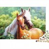 Puzzles pour Adultes 1000 Pièces Puzzle Jouets Cadeau Décompression Intellectuelle Amusant Jeu de Famille Cheval - Animal 38x