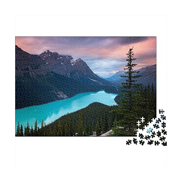 1000 Pièces Puzzles pour Adultes Puzzles Difficiles pour Adultes, Jeu de Puzzle Impossible | Canada Hills, Parc National Banf