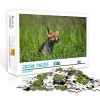 Mini Puzzle Adulte 1000 pièces Coyote Set Puzzle Jigsaw Puzzle Jouet Jeu Stimulant Puzzle en Carton 38x26cm Puzzles pour Ad