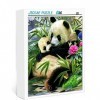 300 pièces de Puzzle Adulte Panda Classic Puzzle Family Challenge Game Puzzle Gift 38x26cm Jigsaw Puzzle pour Enfants et Adul