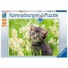 Ravensburger - Puzzle Adulte - Puzzle 500 pièces - Chaton dans la prairie - Adultes et enfants dès 12 ans - Puzzle de qualité