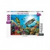 Nathan - Puzzle 500 pièces - Le récif corallien - Adultes et enfants dès 12 ans - Puzzle de qualité supérieure - Encastrement