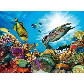 Nathan - Puzzle 500 pièces - Le récif corallien - Adultes et enfants dès 12 ans - Puzzle de qualité supérieure - Encastrement