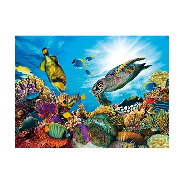 Nathan - Puzzle 500 pièces - Le récif corallien - Adultes et enfants dès 12 ans - Puzzle de qualité supérieure - Encastrement