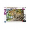 Nathan - Puzzle 500 pièces - Les yeux du léopard - Adultes et enfants dès 12 ans - Puzzle de qualité supérieure - Encastremen