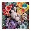 Galison 9780735374959 Shrooms in Bloom Jigsaw Puzzle, Multicoloured, 500 Pieces