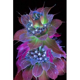 Puzzle à fleurs vertes fluorescentes - 300 pièces - Pour adultes et adolescents