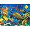 Colorful Fishes Puzzle 1000 Pieces Underwater World Puzzle 1000 Pièces Adultes Idée Cadeau