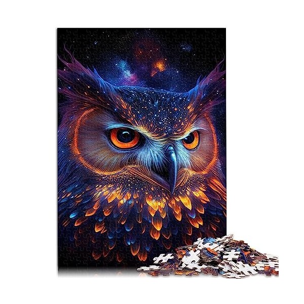 Puzzle 1000 pièces pour Adultes - Cadeaux Femme amérindienne - Tableau 100% recyclé de qualité supérieure - Difficile à compl