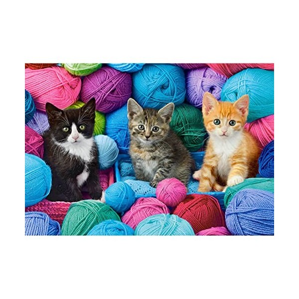 Puzzle 1000 pièces : Chatons dans Le Magasin de Laine