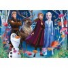 Clementoni- Disney Frozen Reine des Neiges 2, 20611, Multicolore