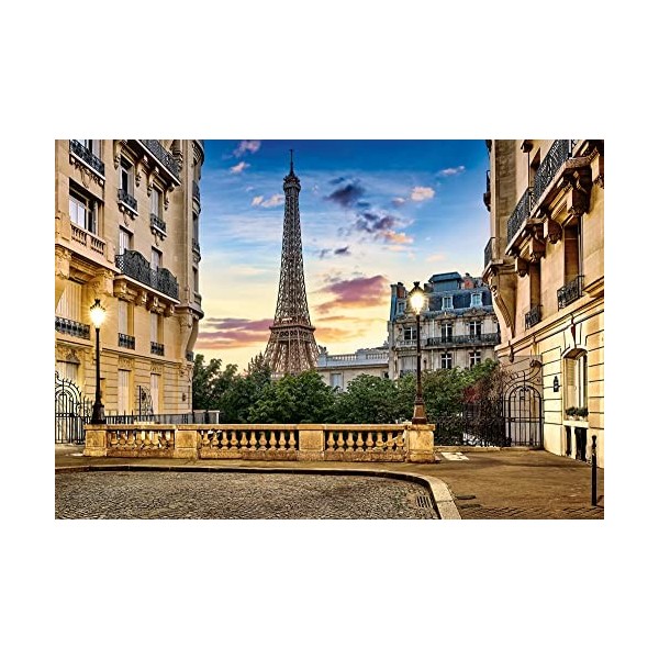 Castorland Puzzle 1000 pièces : Promenade dans Paris au Coucher du Soleil