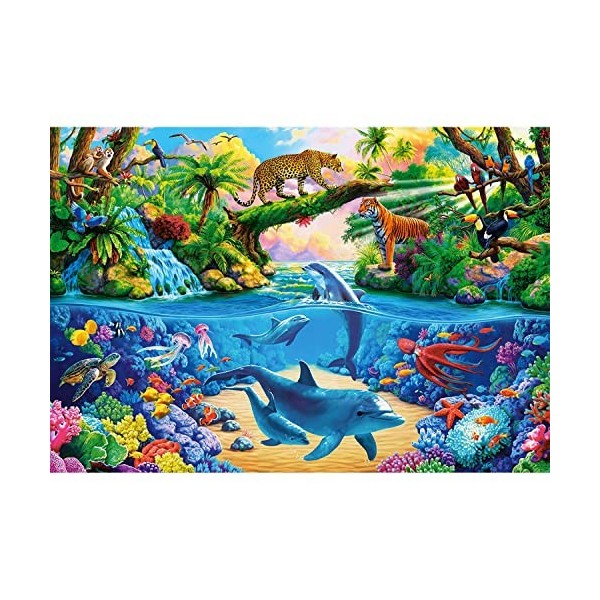 Castorland Puzzle 1000 pièces : Nature Sauvage