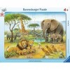 Ravensburger- Tierwelt Animaux dAfrique, 06146, Teal/Turquoise Vert