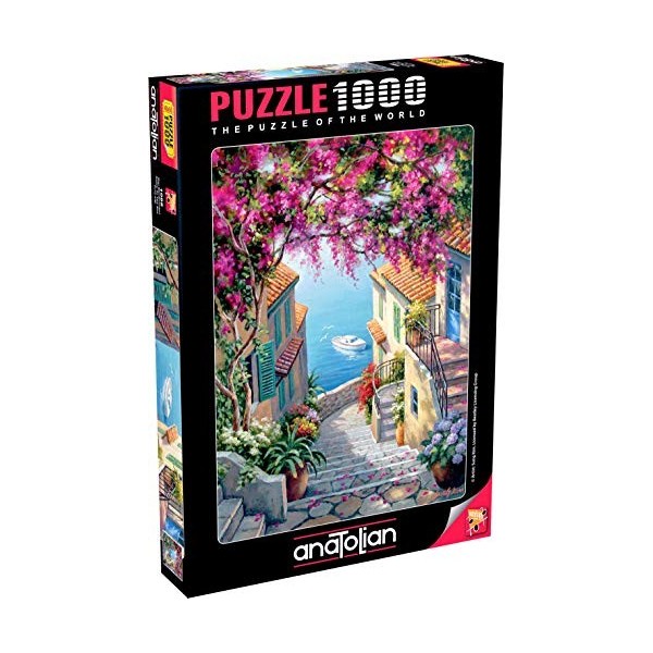 Anatolian Puzzle 1000 pièces : Escaliers vers la mer