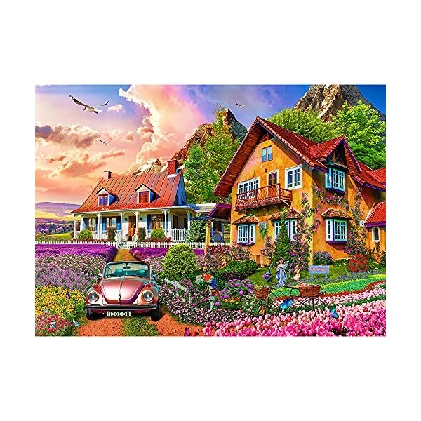 Puzzle de 1000 pièces, Puzzle pour Adultes, Puzzle Impossible, Puzzle coloré, Jeu dadresse pour Toute la Famille, Jardin Vil