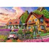 Puzzle de 1000 pièces, Puzzle pour Adultes, Puzzle Impossible, Puzzle coloré, Jeu dadresse pour Toute la Famille, Jardin Vil