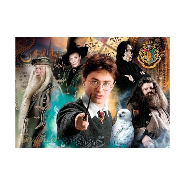 Clementoni Harry Potter Potter-500 pièces-Puzzle Adulte-fabriqué en Italie, 35083, No Color