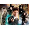 Clementoni Harry Potter Potter-500 pièces-Puzzle Adulte-fabriqué en Italie, 35083, No Color